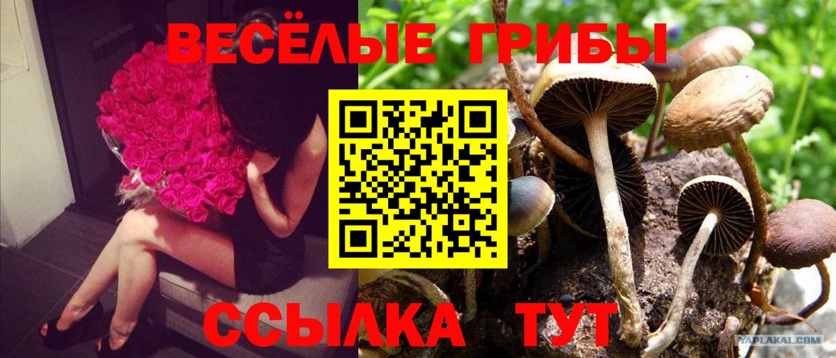 Галлюциногенные грибы MAGIC MUSHROOMS Волжский